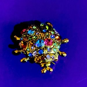 Multi colored ladybug pin/ brooch